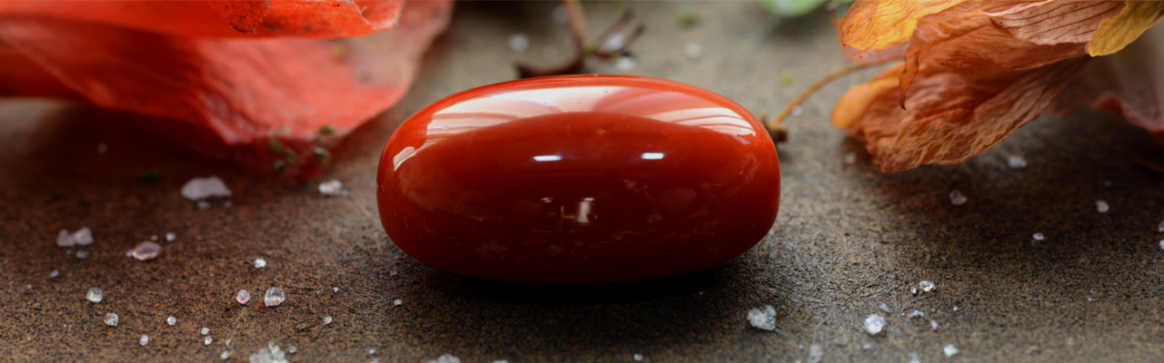 Red Coral Gemstone: Buying Guide and Essential Care Tips